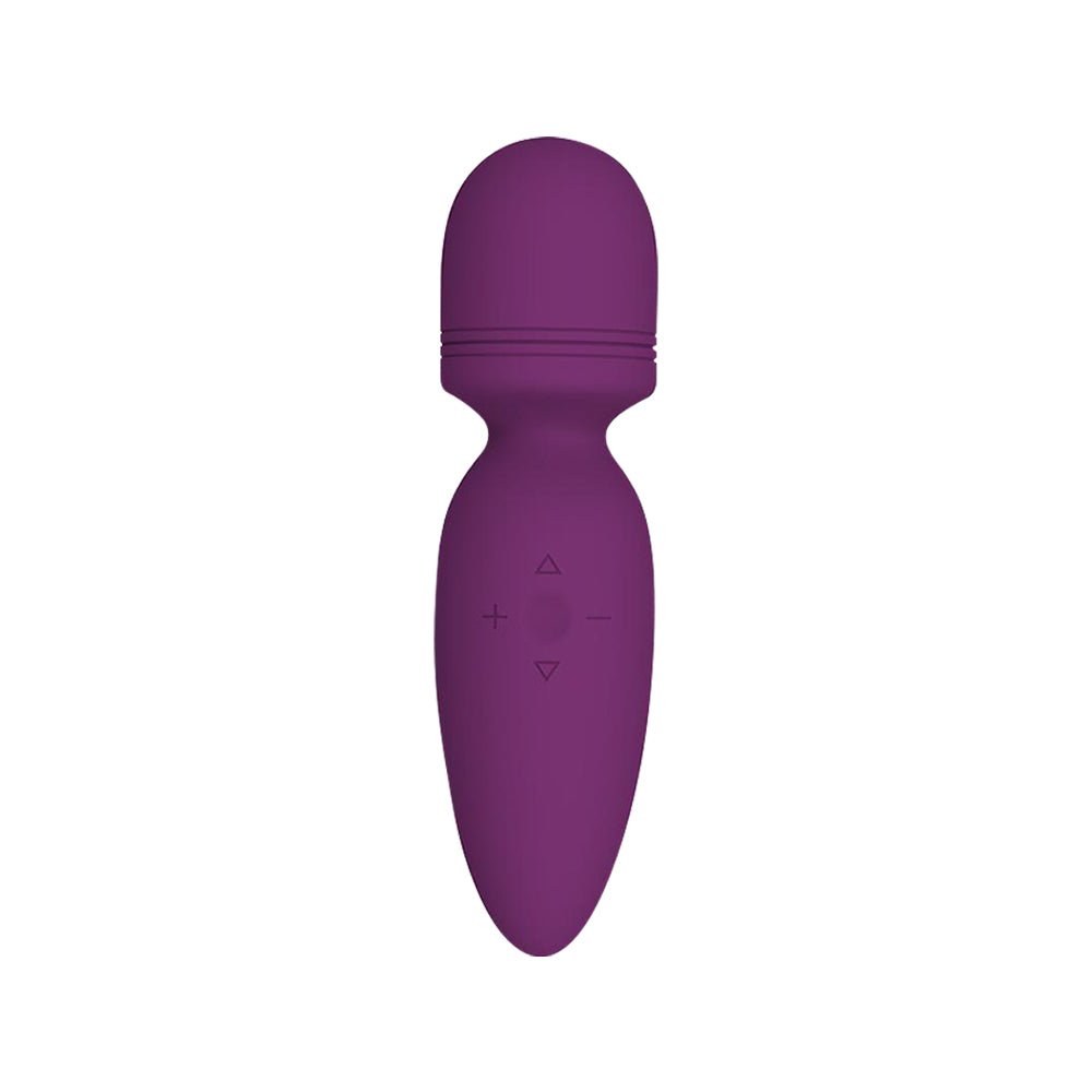 Compact Wand Massager | Euphoria Pulse Wand Massager | Appearance
 | SVL Toys